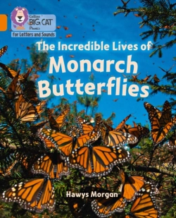 Bertrand.pt - The Incredible Lives Of Monarch Butterflies