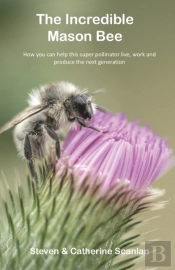The Incredible Mason Bee