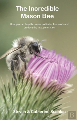 Bertrand.pt - The Incredible Mason Bee