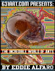 The Incredible World Of Ants