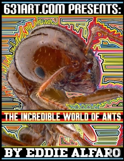 Bertrand.pt - The Incredible World Of Ants