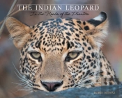 The Indian Leopard