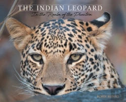 Bertrand.pt - The Indian Leopard