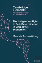 The Indigenous Right To Self-Determination In Extractivist Economies