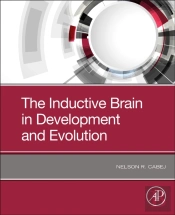 The Inductive Brain In Development And Evolution