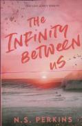 The Infinity Between Us