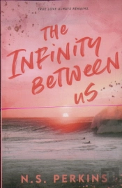 The Infinity Between Us