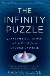 The Infinity Puzzle