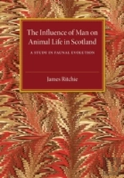 The Influence Of Man On Animal Life In Scotland