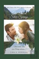 The Inn At Silver Springs