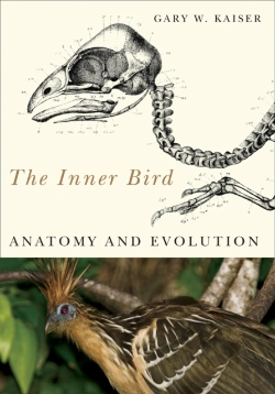 Bertrand.pt - The Inner Bird