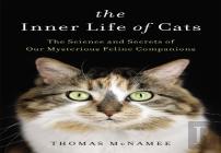 The Inner Life Of Cats