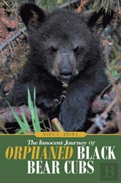 The Innocent Journey Of Orphaned Black Bear Cubs