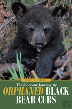 Bertrand.pt - The Innocent Journey Of Orphaned Black Bear Cubs