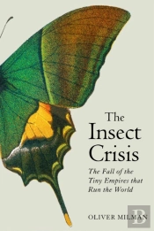 The Insect Crisis
