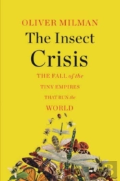 The Insect Crisis