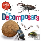 The Insects That Run Our World: The Decomposers