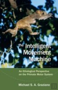 Bertrand.pt - The Intelligent Movement Machine