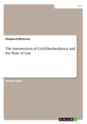 The Intersection Of Civil Disobedience And The Rule Of Law