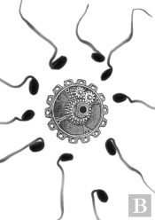The Invention Of Mother
