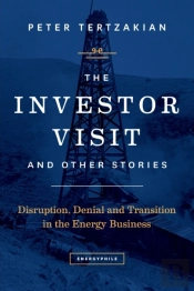 The Investor Visit And Other Stories