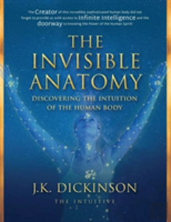 Bertrand.pt - The Invisible Anatomy