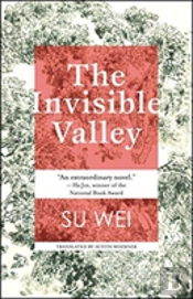 The Invisible Valley
