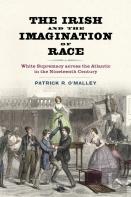 The Irish And The Imagination Of Race