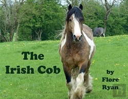 Bertrand.pt - The Irish Cob