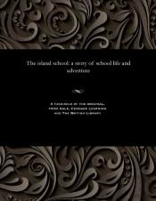 The Island School