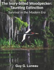The Ivory-Billed Woodpecker