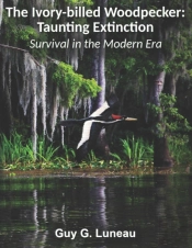 The Ivory-Billed Woodpecker