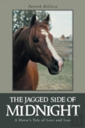 The Jagged Side Of Midnight: A Horse'S T