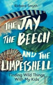 The Jay, The Beech And The Limpetshell