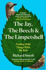 The Jay, The Beech And The Limpetshell