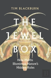 The Jewel Box