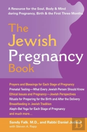 The Jewish Pregnancy Book