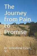 The Journey From Pain To Promise