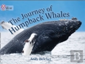 The Journey Of Humpback Whales