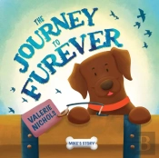 The Journey To Furever