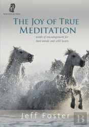 The Joy Of True Meditation