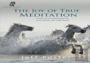 The Joy Of True Meditation