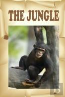 The Jungle