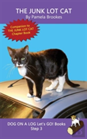 The Junk Lot Cat