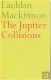 The Jupiter Collisions