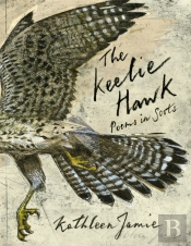 The Keelie Hawk