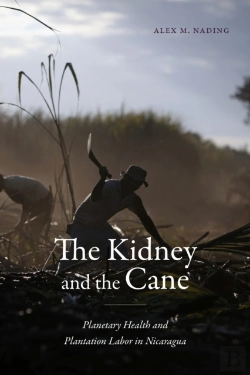 Bertrand.pt - The Kidney And The Cane