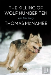 The Killing Of Wolf Number Ten