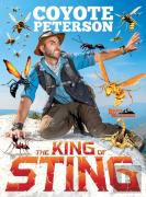 The King Of Sting