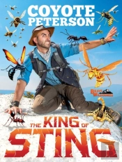 The King Of Sting